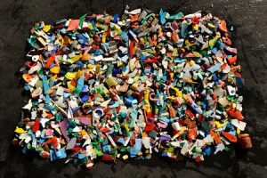 "Von Sturm zu Sturm ist auch zunehmend mehr Plastik dabei"