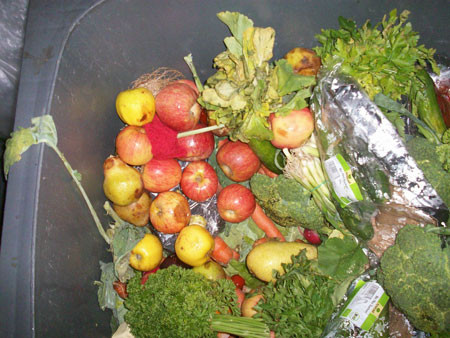 Verdorbenes und frisches Obst und Gemüse
