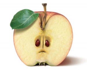 RSTKLTR_Postkarte-Apfel_03