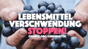 RSTKLTR_Petition_Deutschland