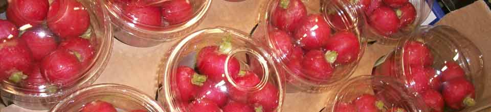 Radieschen in Smoothie-Kunststoff-Bechern