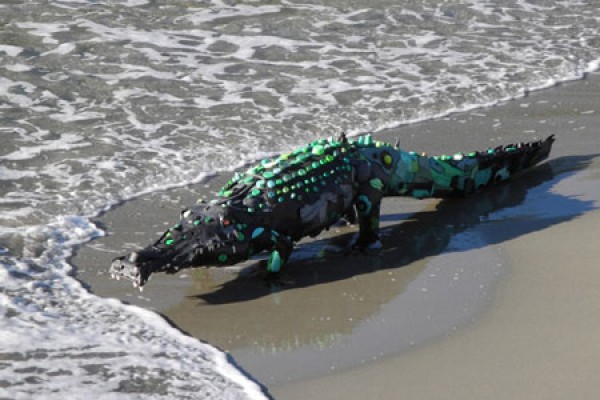 RSTKLTR_CROCO1231