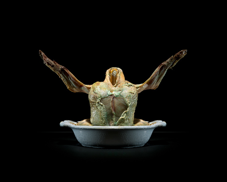 One third - a project on food waste