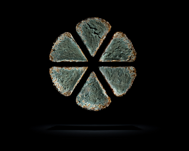 One third - a project on food waste