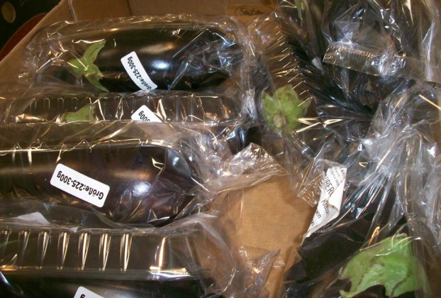 … noch mehr Plastik …