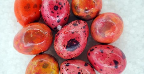 »transchromiceggs«